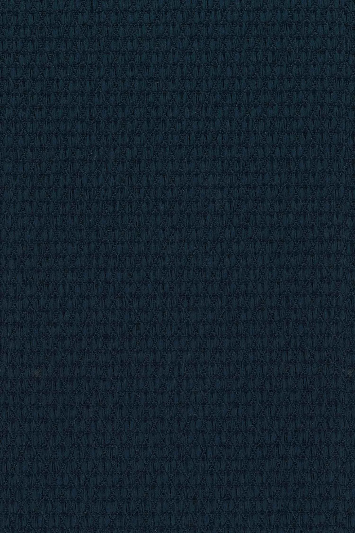 Enzo - Navy