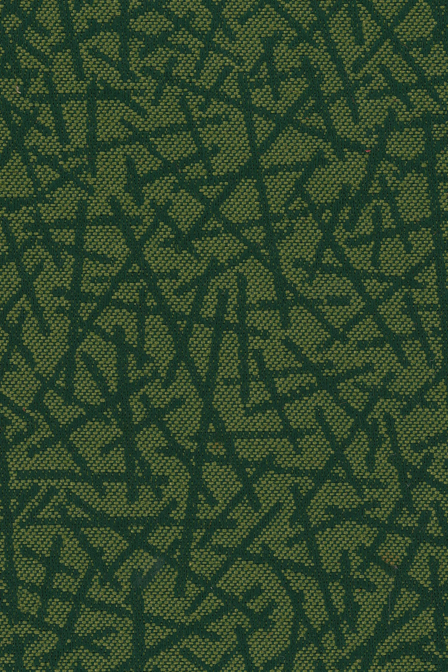 pick-up-sticks-ivy.jpg