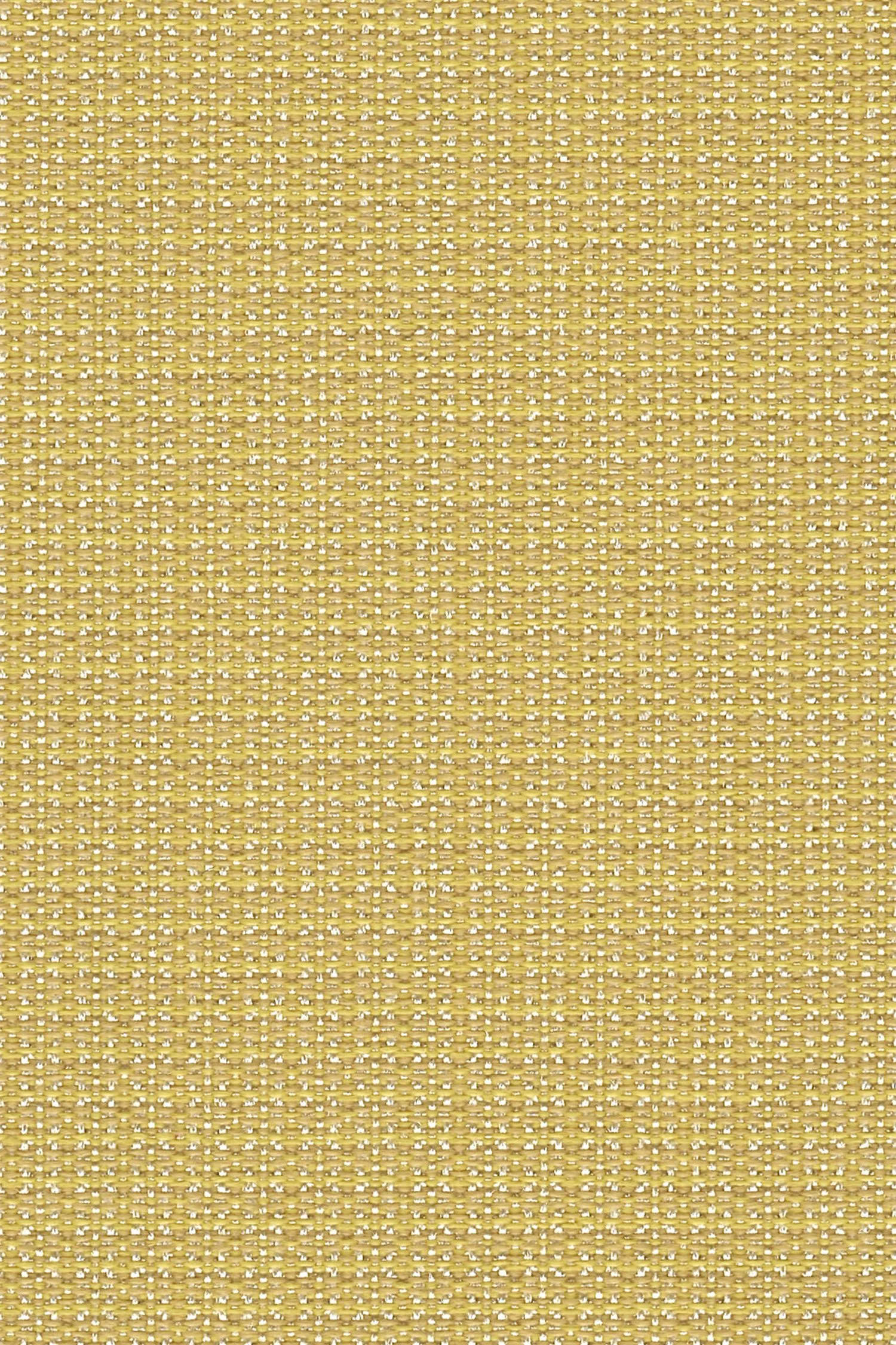 abode-buttercup.jpg