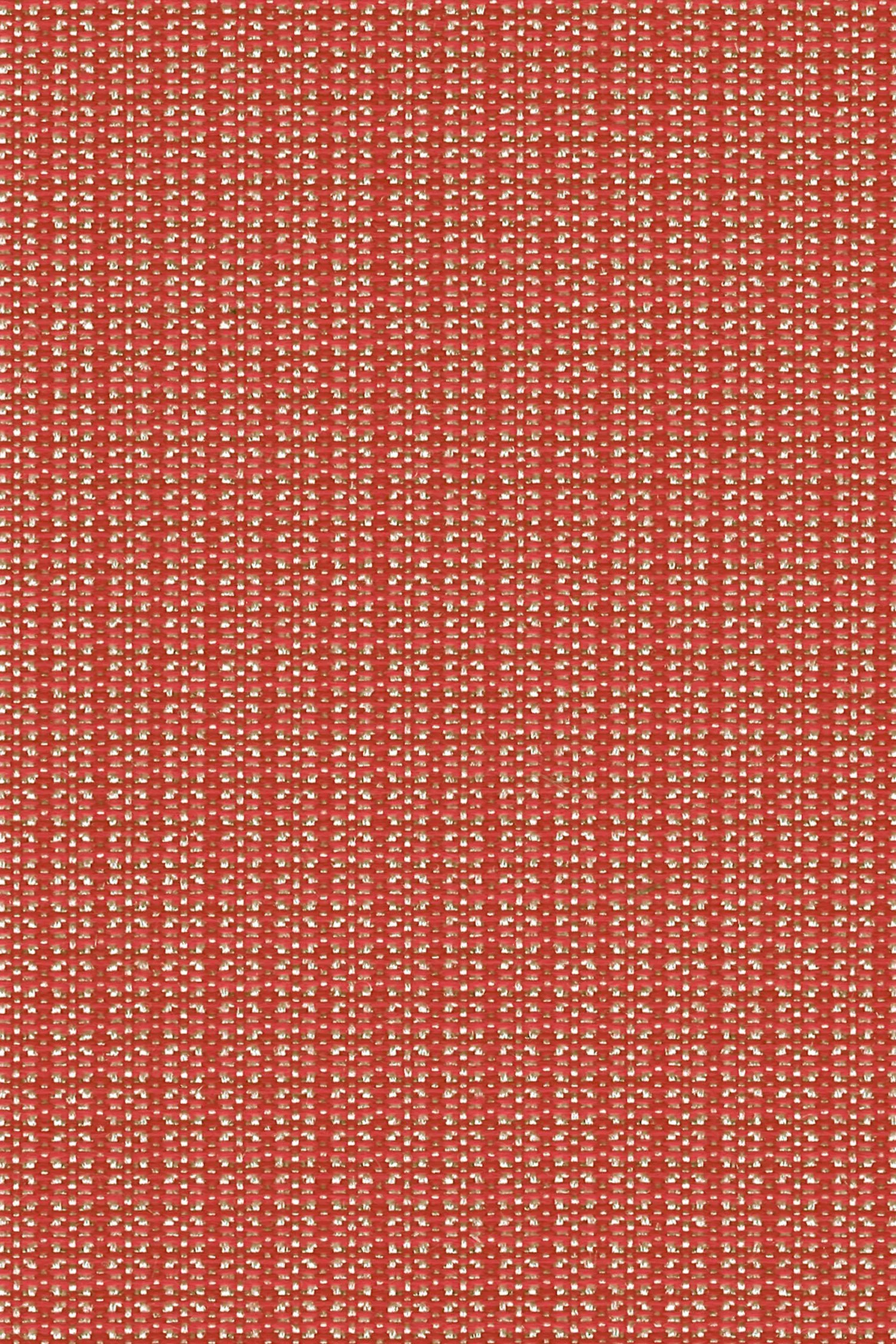abode-firecracker.jpg
