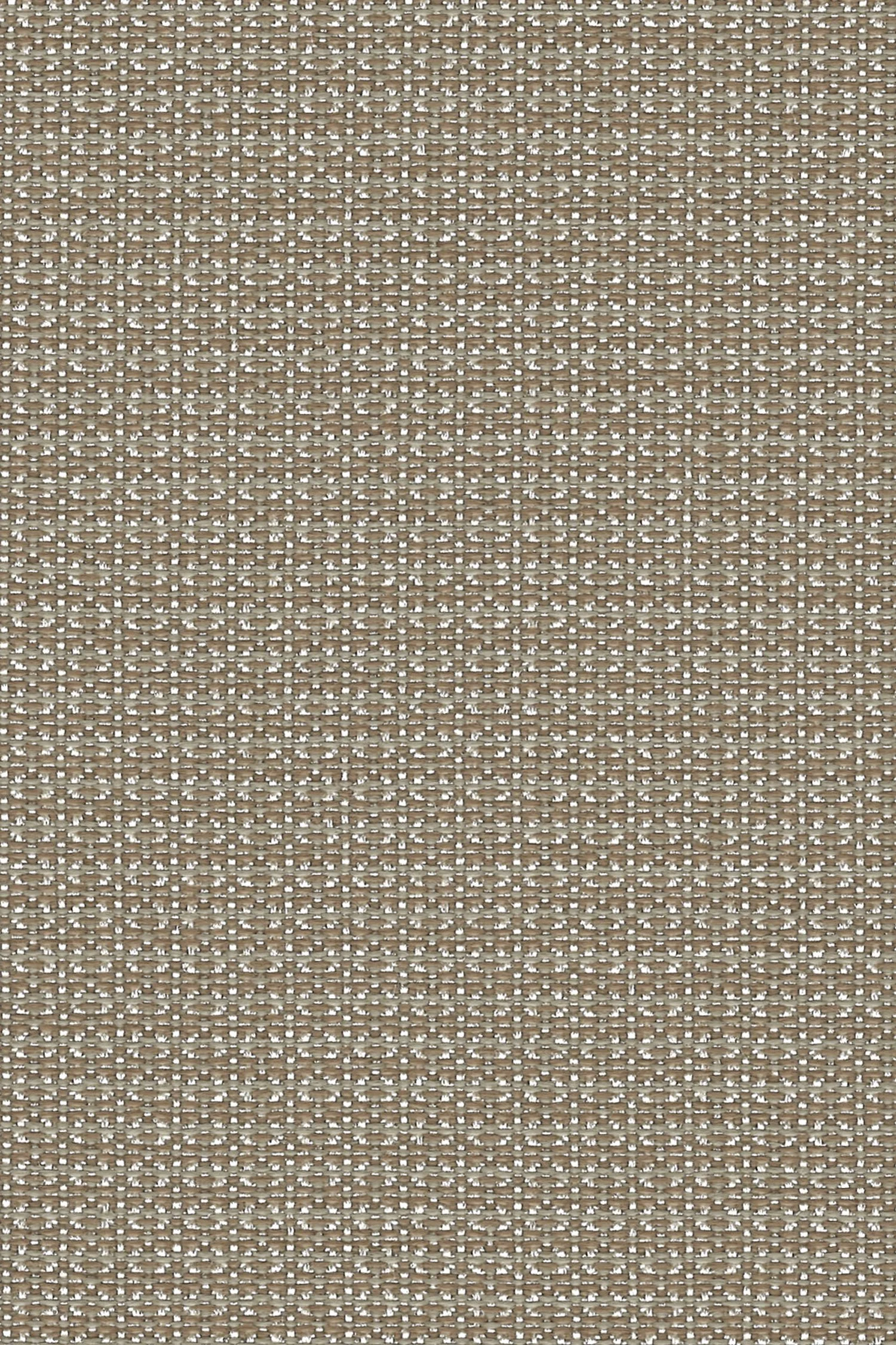 abode-nutmeg.jpg