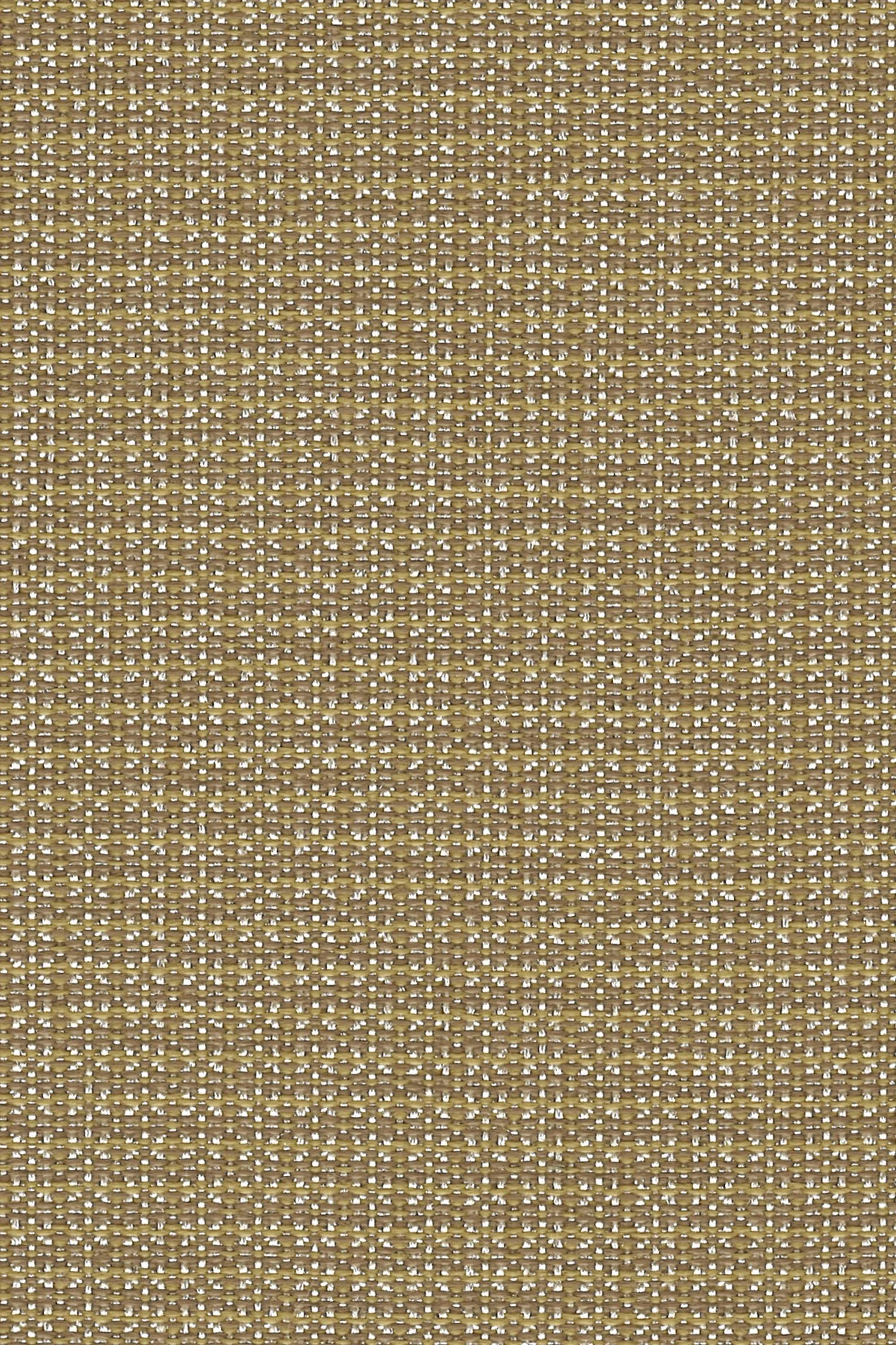 abode-toasted-sesame.jpg