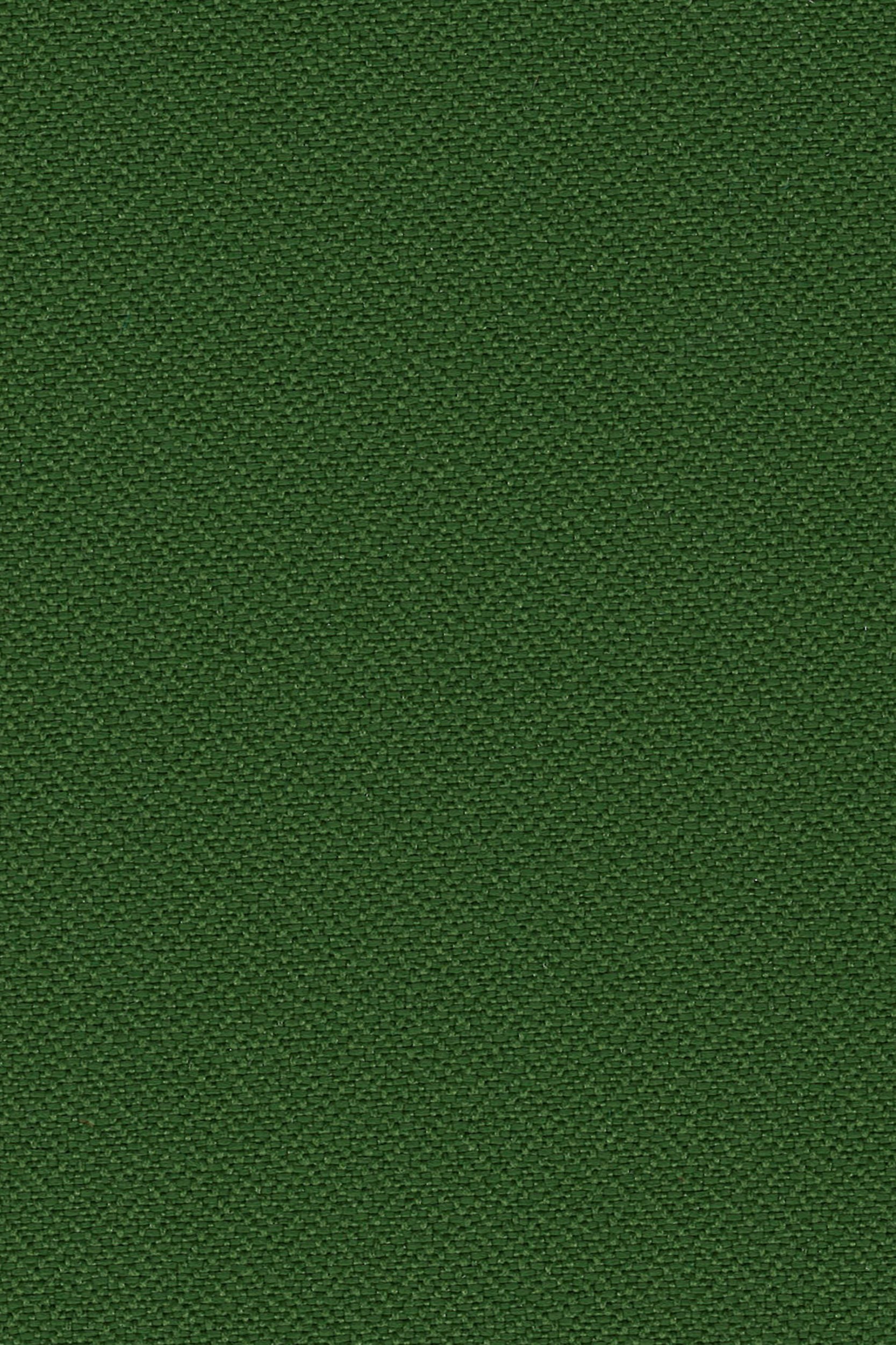 icon-basil.jpg