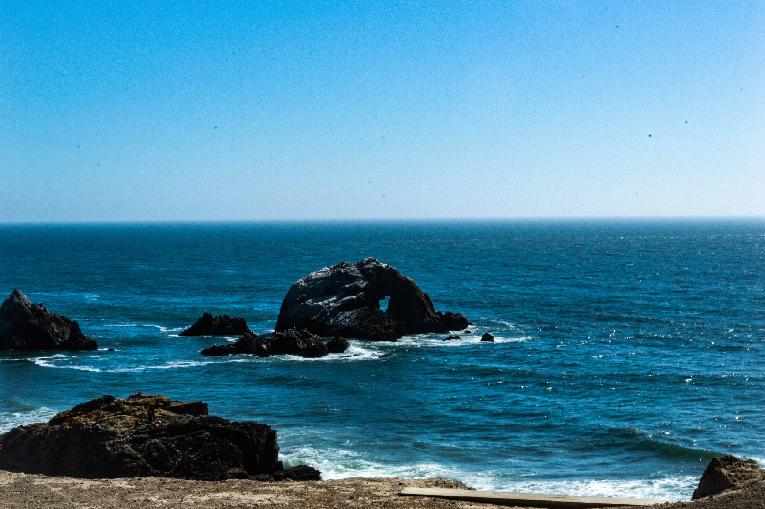 _DSC0573.jpg