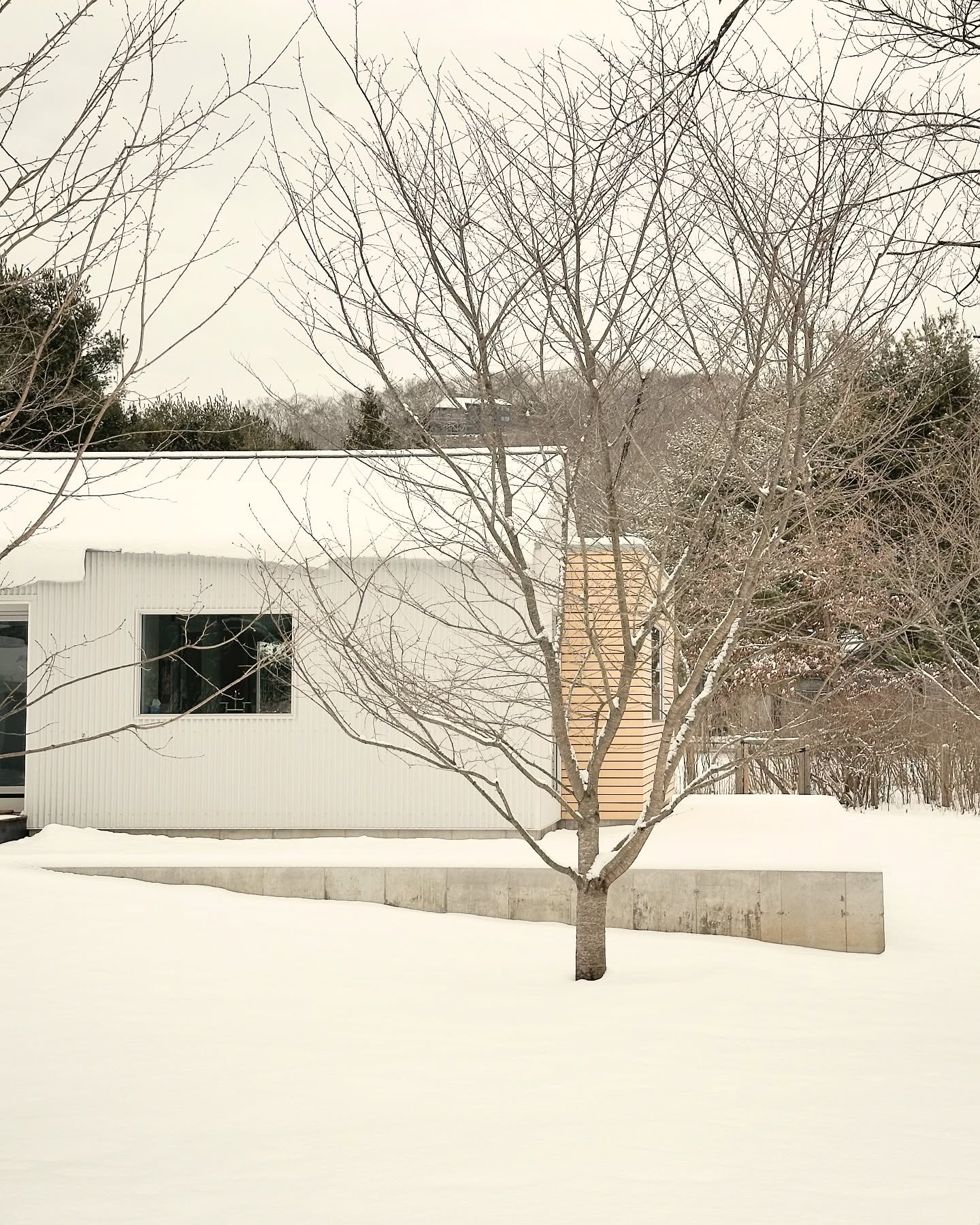 Grey days at Greenshadows 

- designed by @blockdesignbuild 
- built by @blockdesignbuild 
- interiors by @blockdesignbuild 

#designbuild #guesthouse #adu #newbuild #lymect #snowday