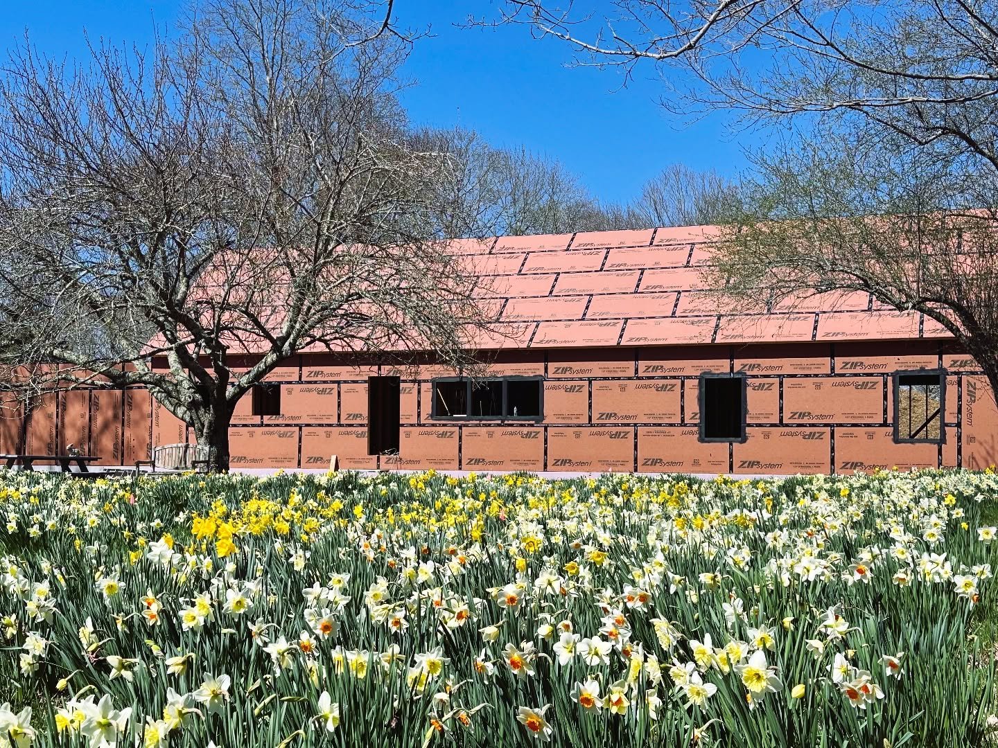House sites don&rsquo;t get much more beautiful than this. 

-designed by @blockdesignbuild 
-built by @blockdesignbuild 
-interiors by @blockdesignbuild 

@huberwood 

#newhome #designbuild #design #building #spring #oldlymect #building #dafodils