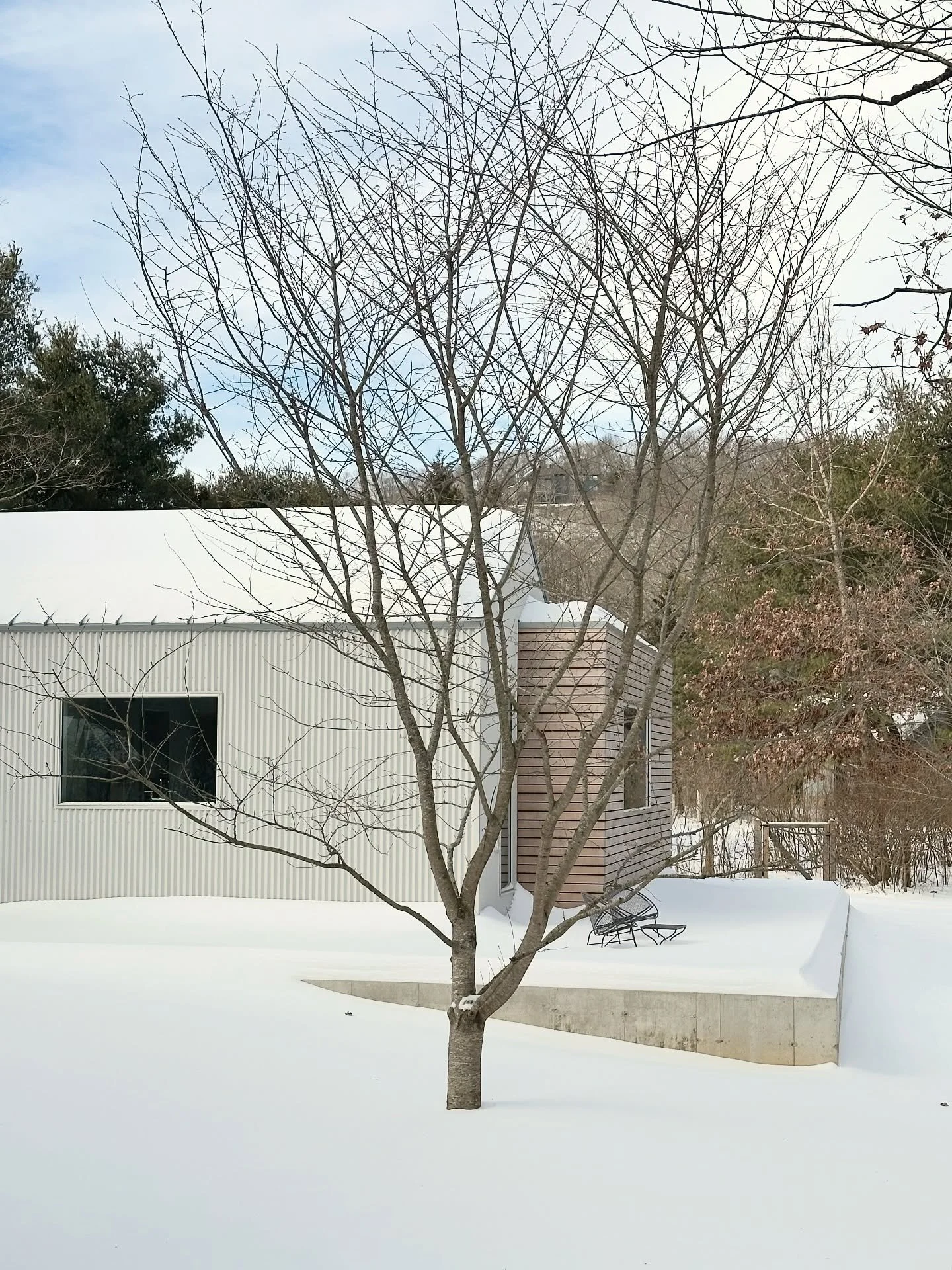 Greenshadows project in the snow

-designed by @blockdesignbuild 
-built by @blockdesignbuild 
-interiors by @blockdesignbuild 

#designbuild #design #moderndesign #lymect #adu