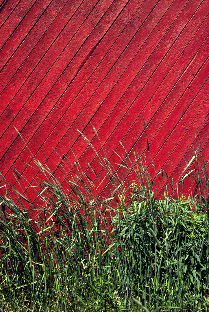 09-red barn-72.jpg