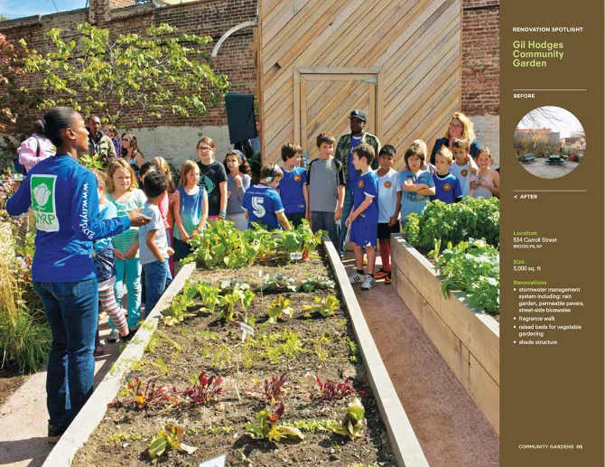 NYRP_02.jpg