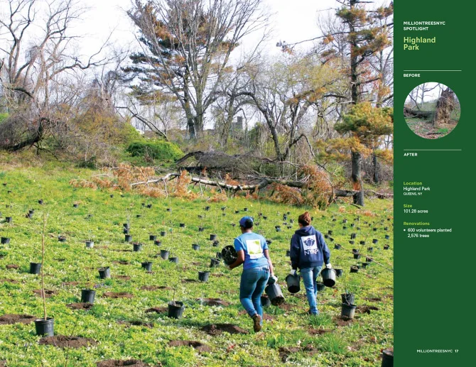 NYRP_07.jpg