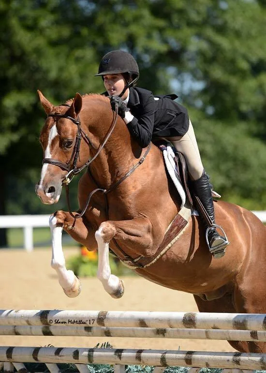 Gabrielle Sokolow & Kingston