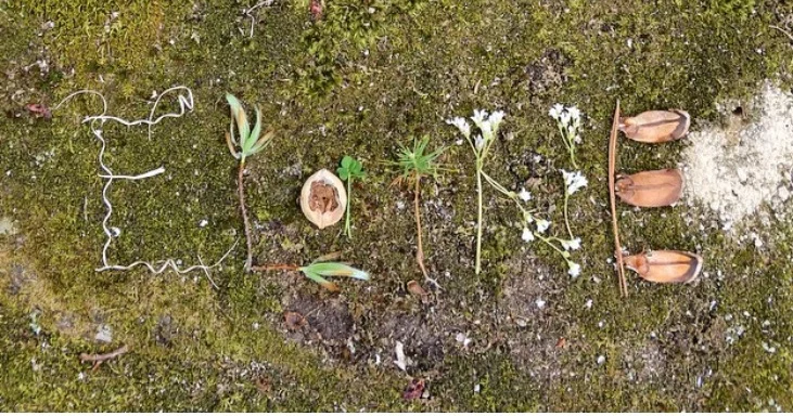 Flower Art: Its All About The Small Things — Firelight Camps