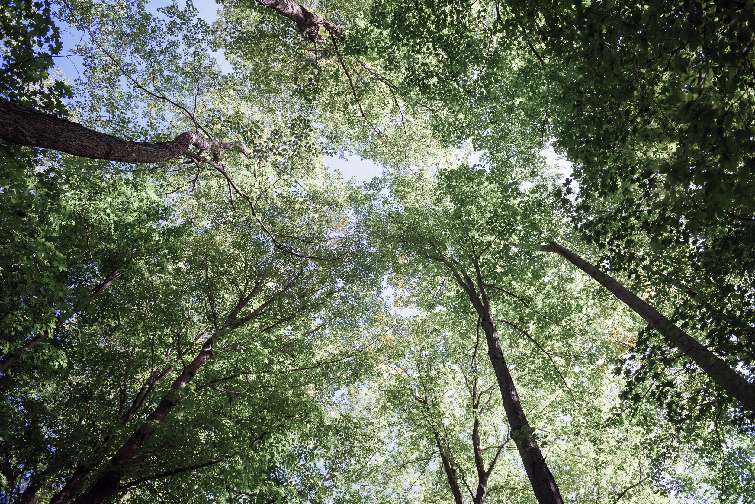 Improving Your Well-Being in The Great Outdoors