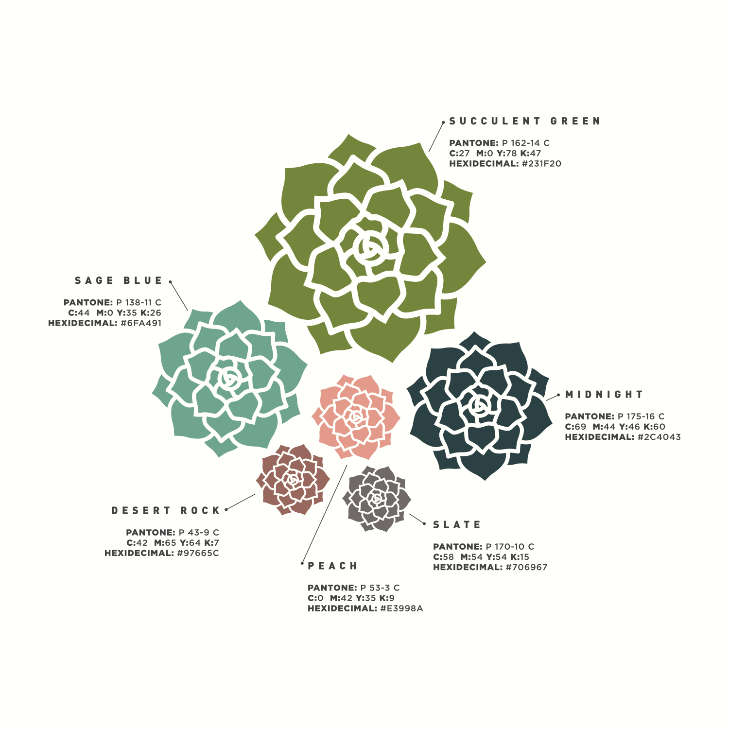 succulent-logo-color.png