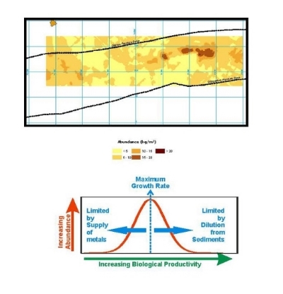 Map & Chart of Mineral Abundance Related to Biological Productivity