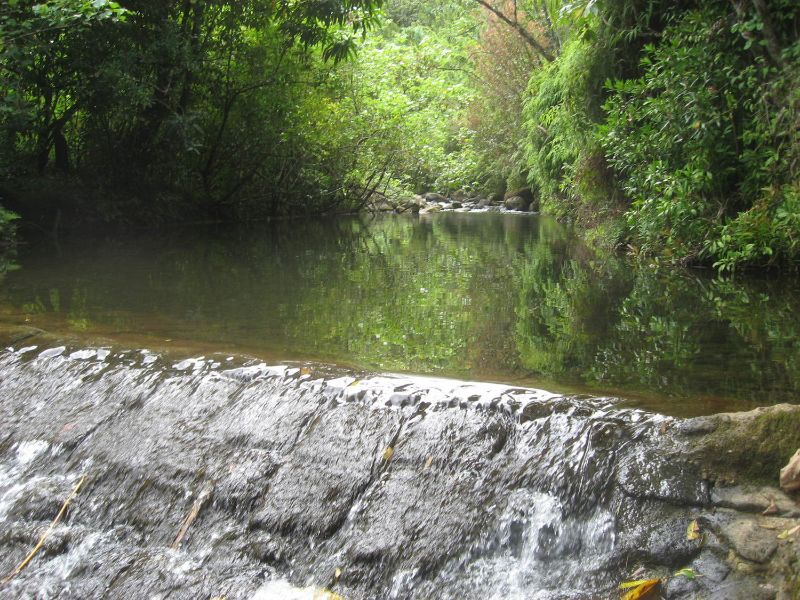 Diversion Ditch