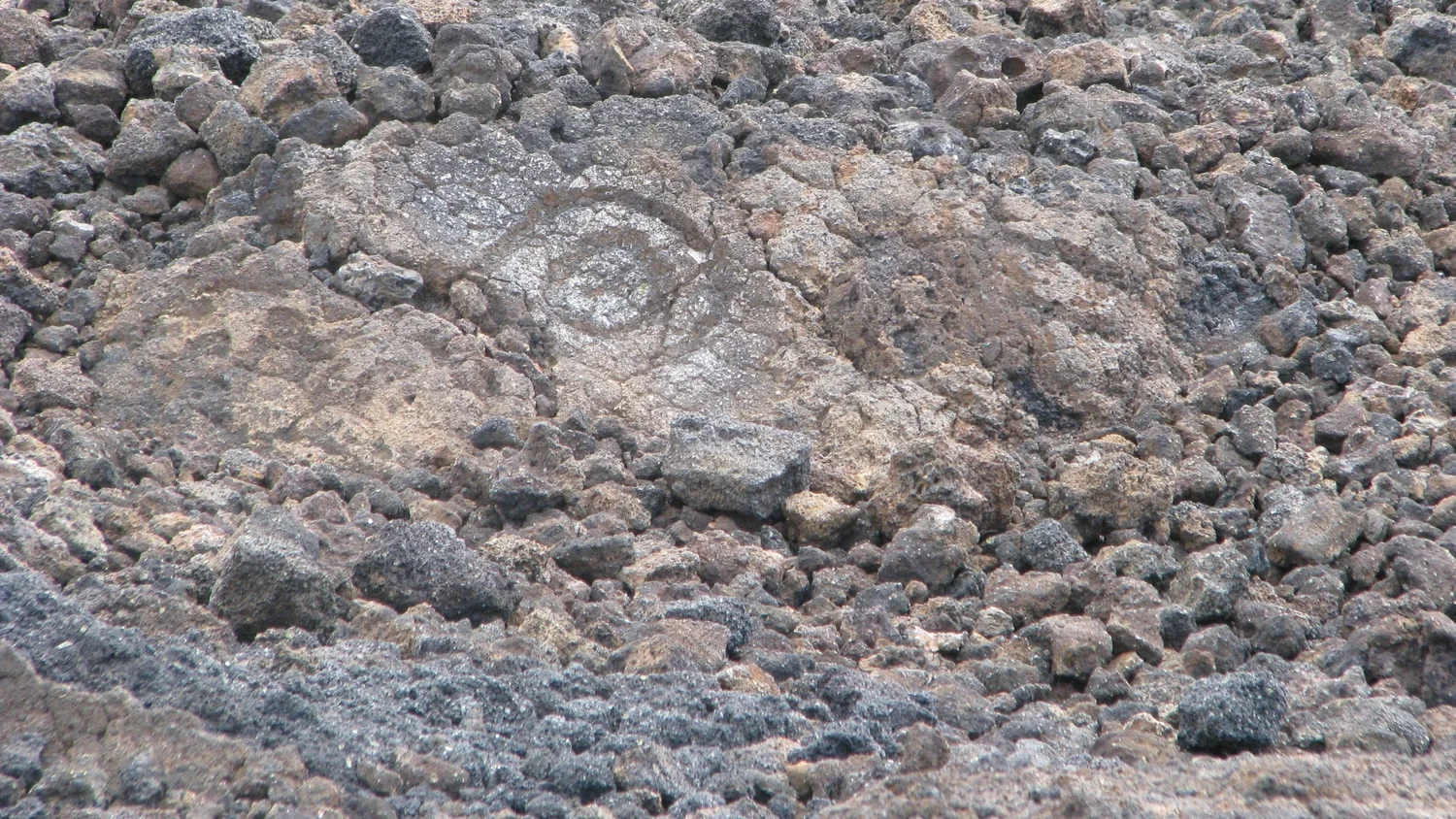 Prehistoric Petroglyphs 4.JPG