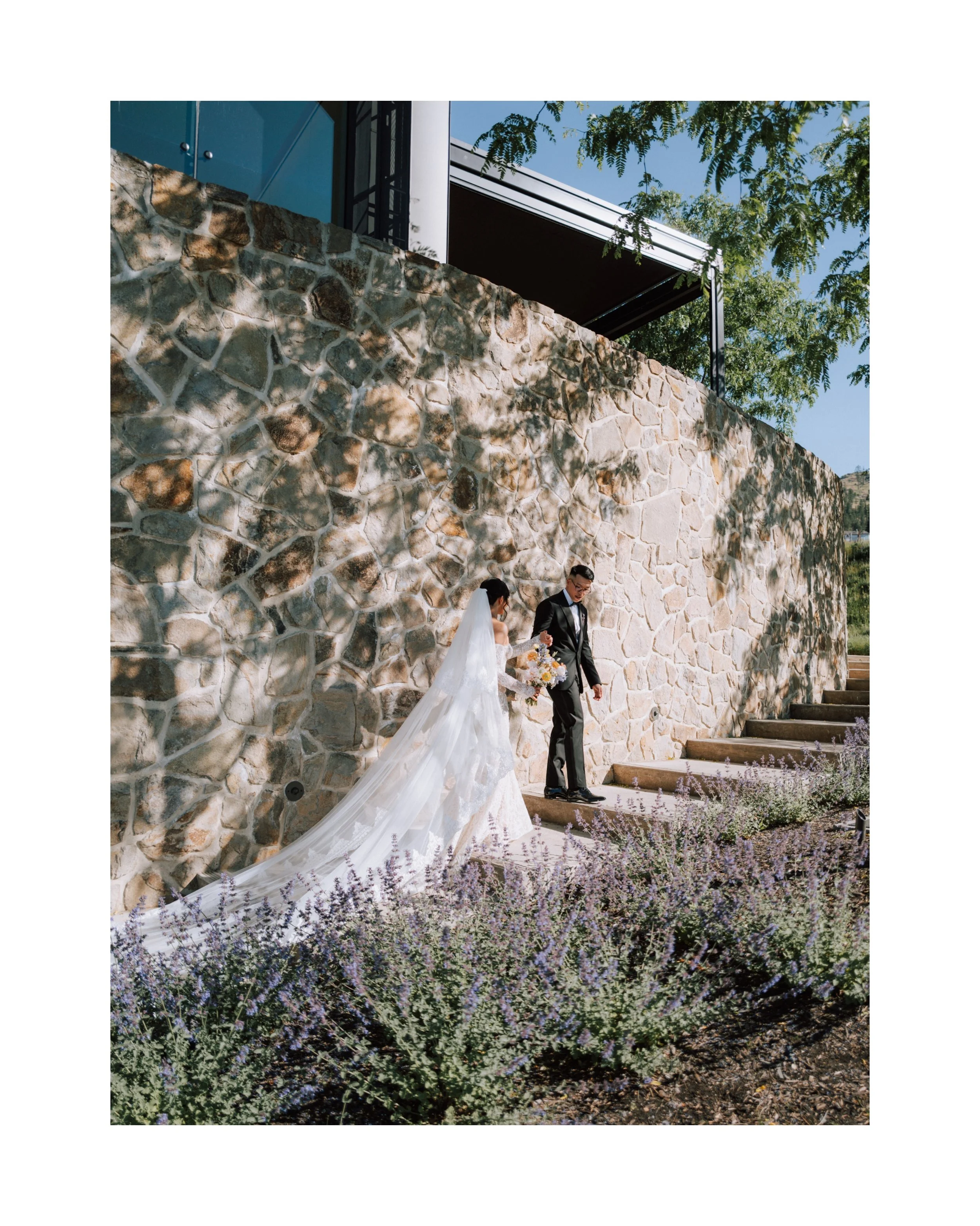 Bride and groom walking together at CedarCreek Estate Winery in Kelowna, British Columbia.