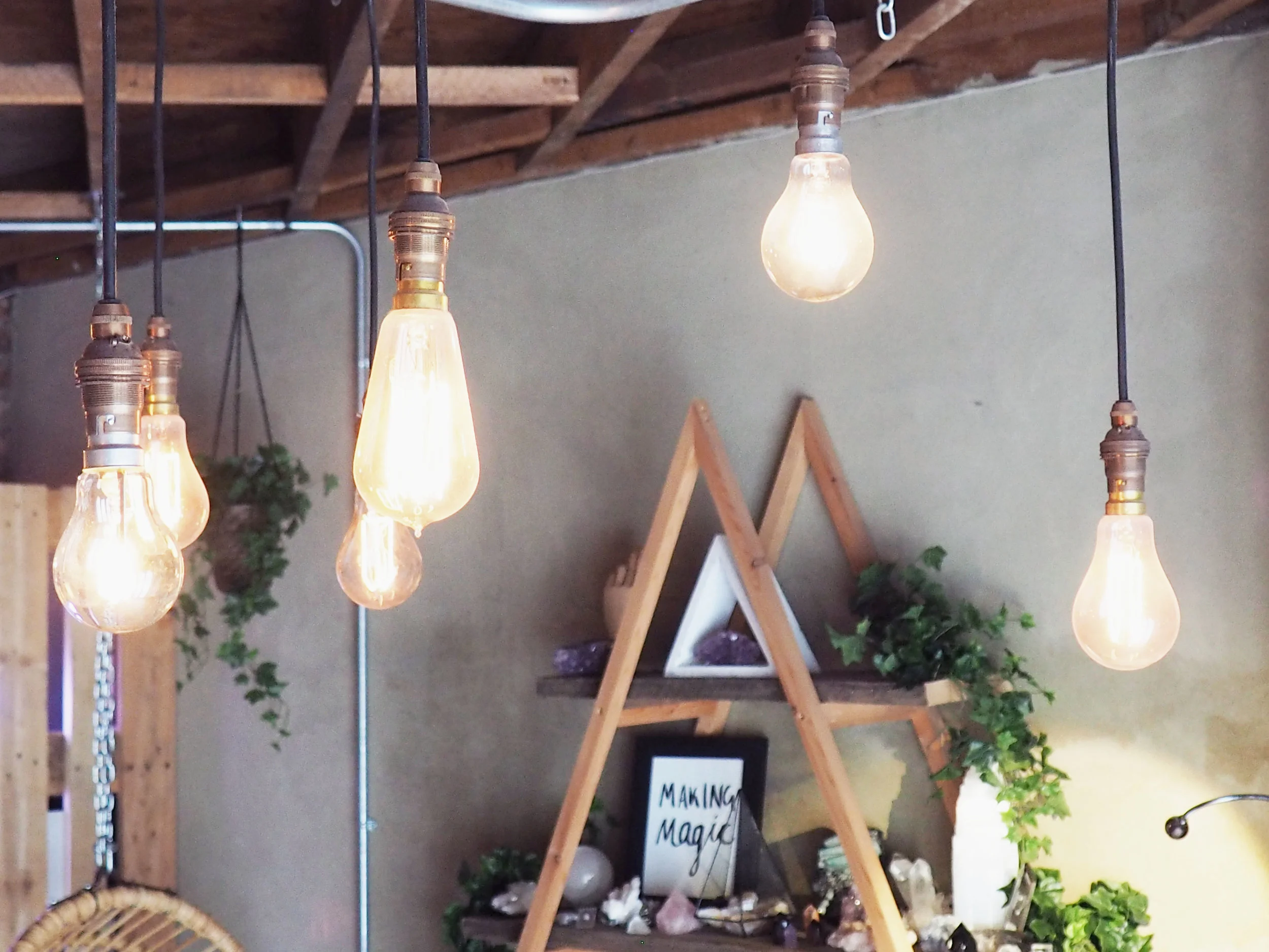 Copy of bulbs.jpg