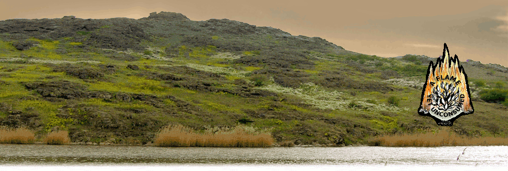 am-fluss.gif