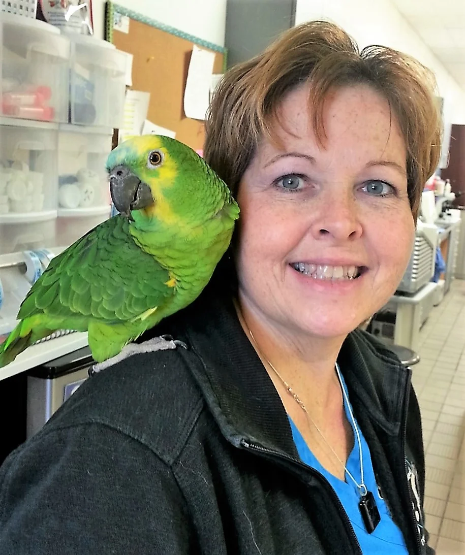 Exotic Animal Care — Animal Friends Veterinary Hospital. Canton, MI