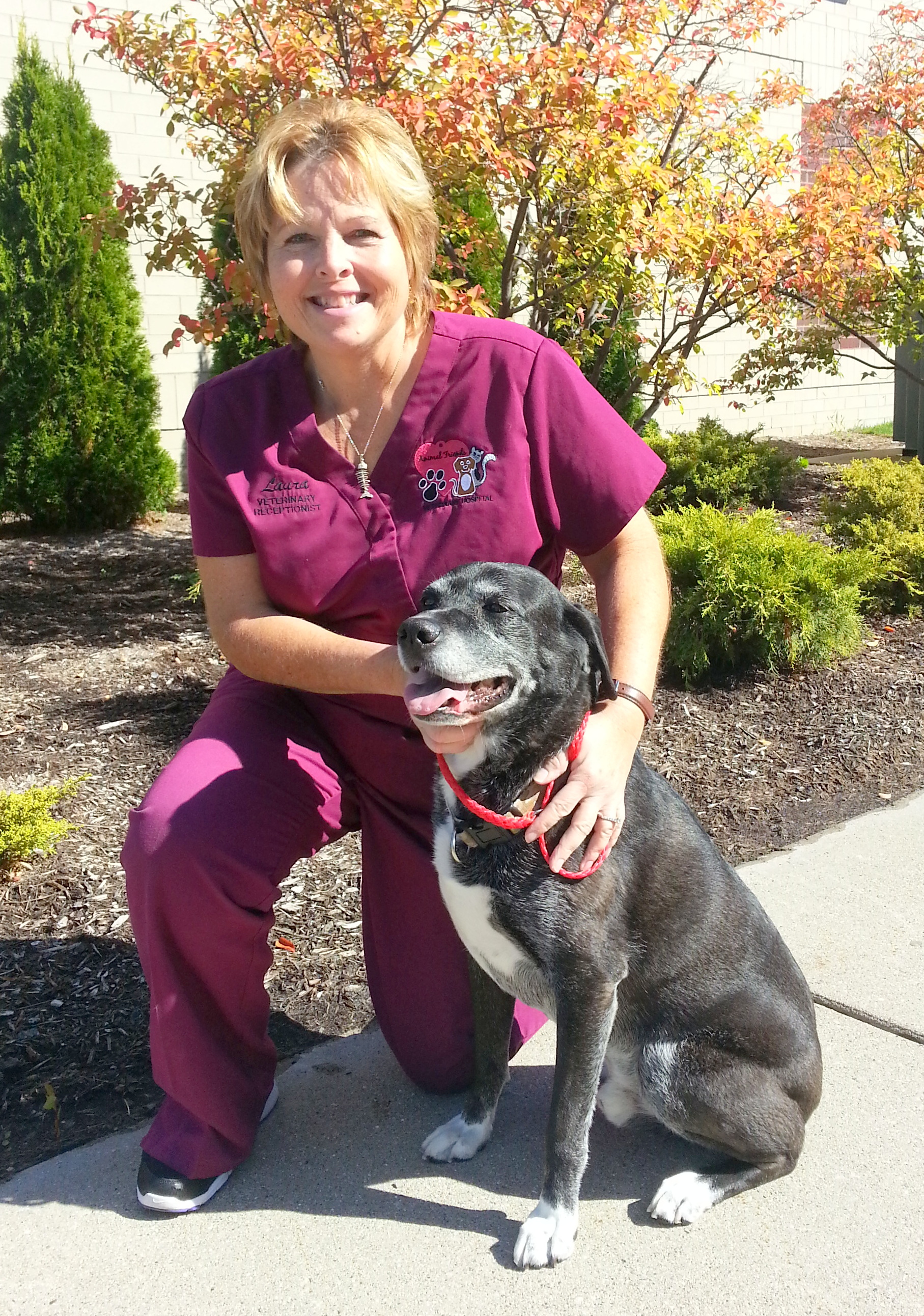 Laura is the Office Manager and Lead Receptionist at Animal Friends. She has years of experience in the veterinary field helping people help their pets. She enjoys her own dogs and cats and is a busy mom and friend to all. She will always greet you and your pet with a smile!