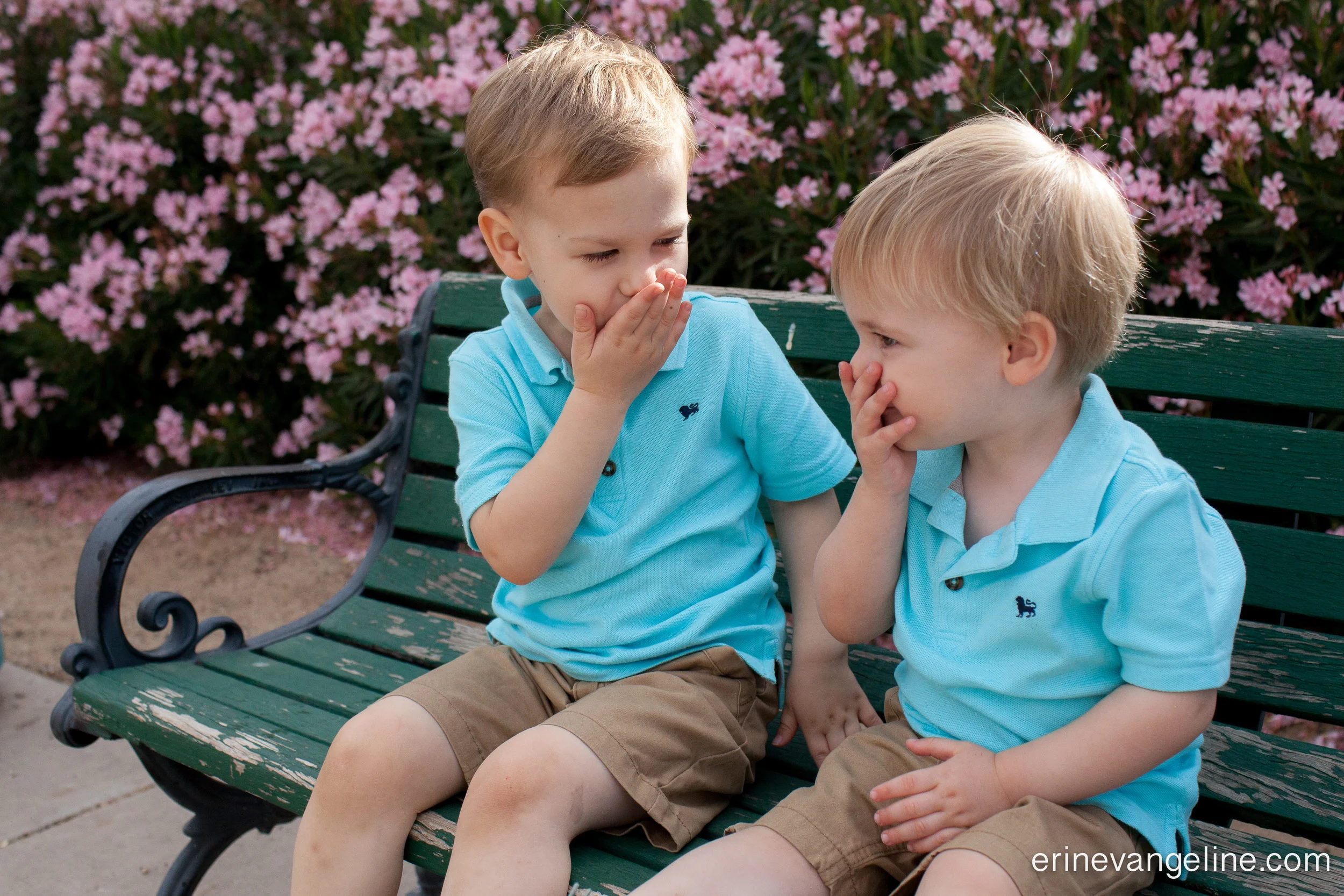 Phoenix Family Photographer-2-2.jpg