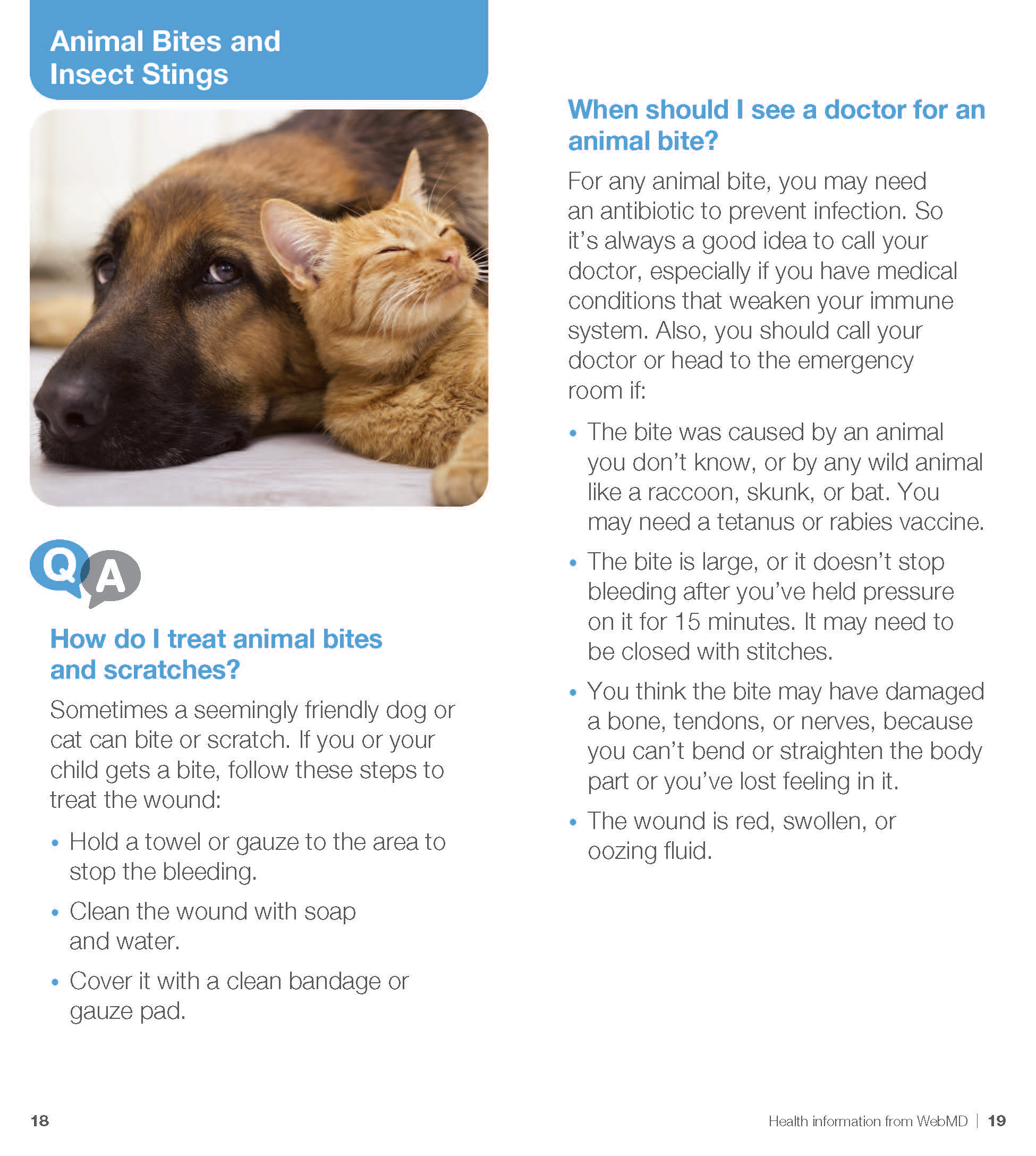 doggy steps walgreens