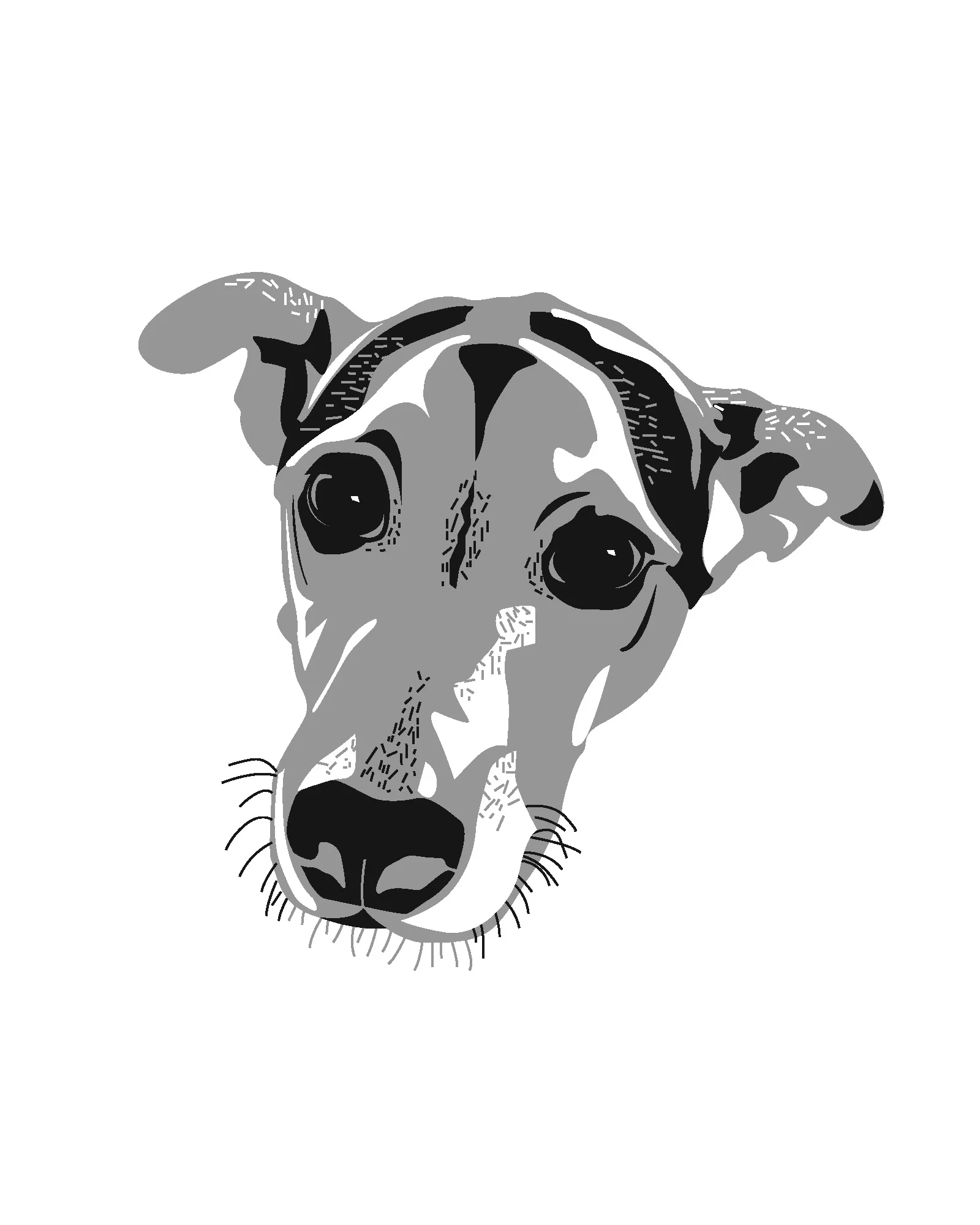 Pet_Head-Shot_3.jpg