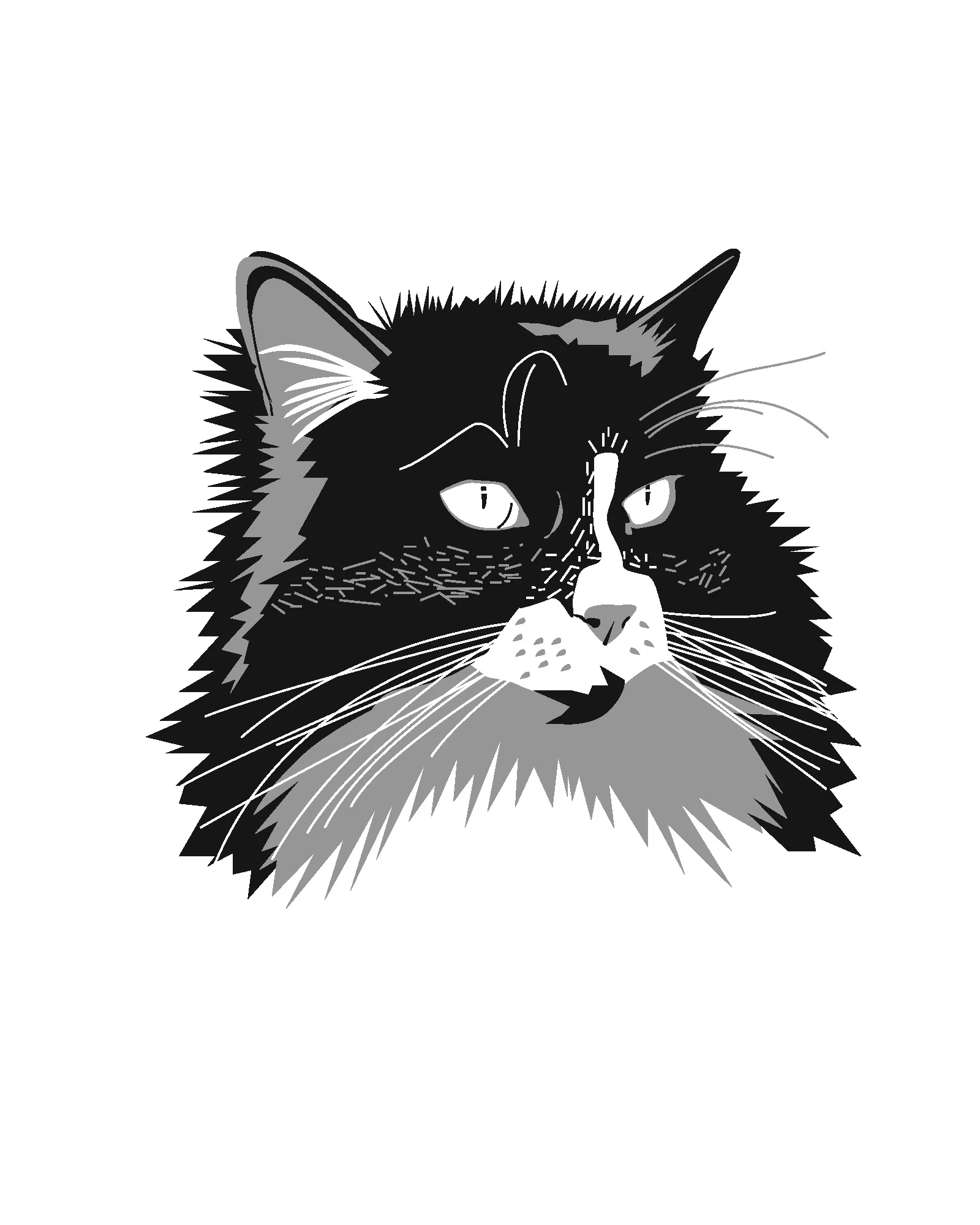 Pet_Head-Shot_4.jpg