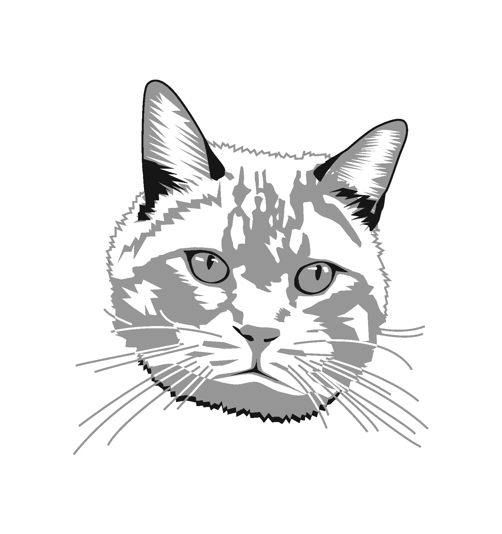 Pet_Head-Shot_1.jpg