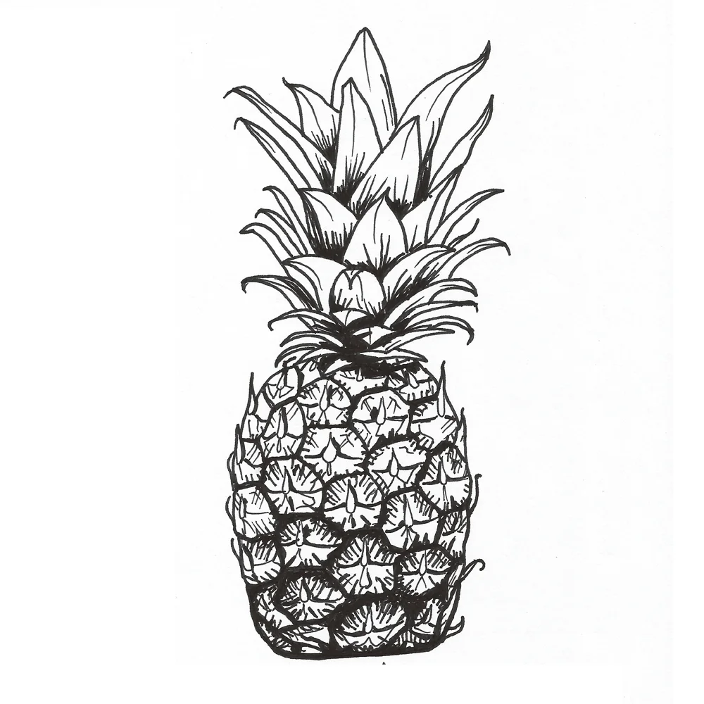 Pineapple-3.jpg