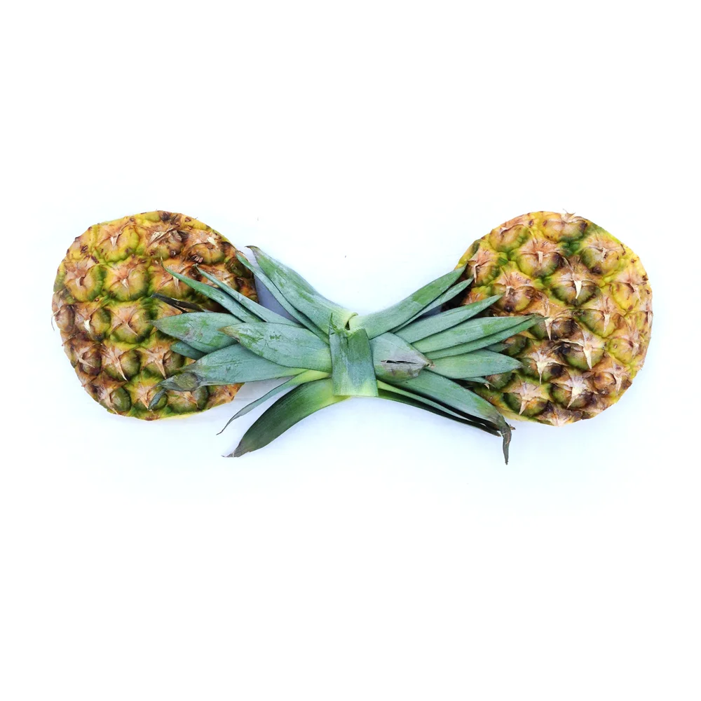 Pineapple-8.jpg