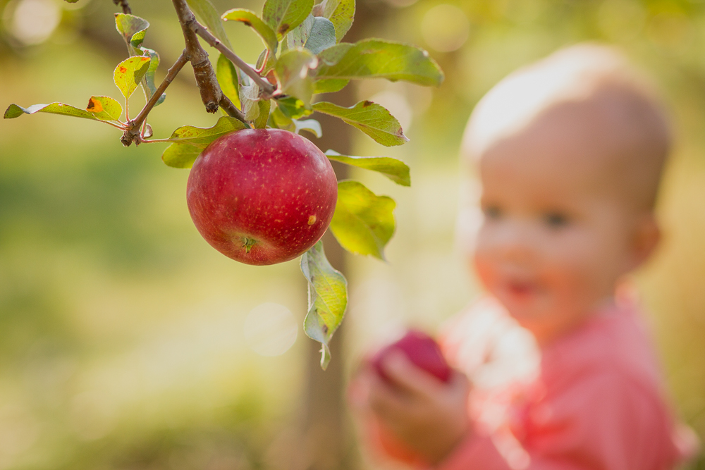 StaciDesign-MN-Family-Photography-0102.jpg