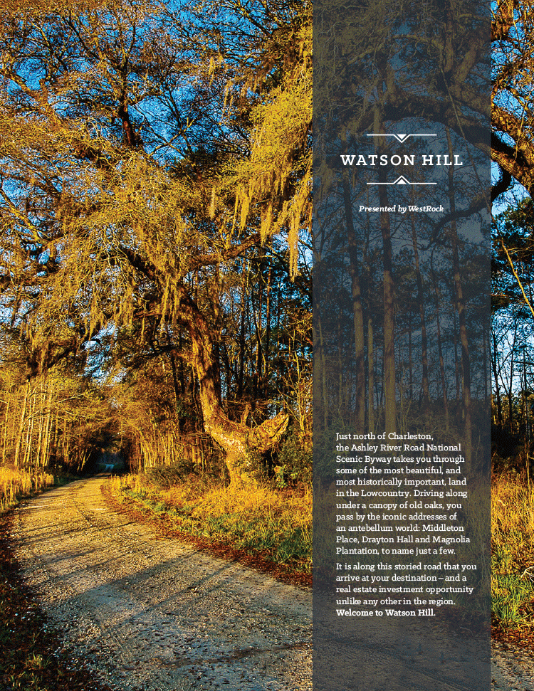 Brochure for Watson Hill. East Edisto.
