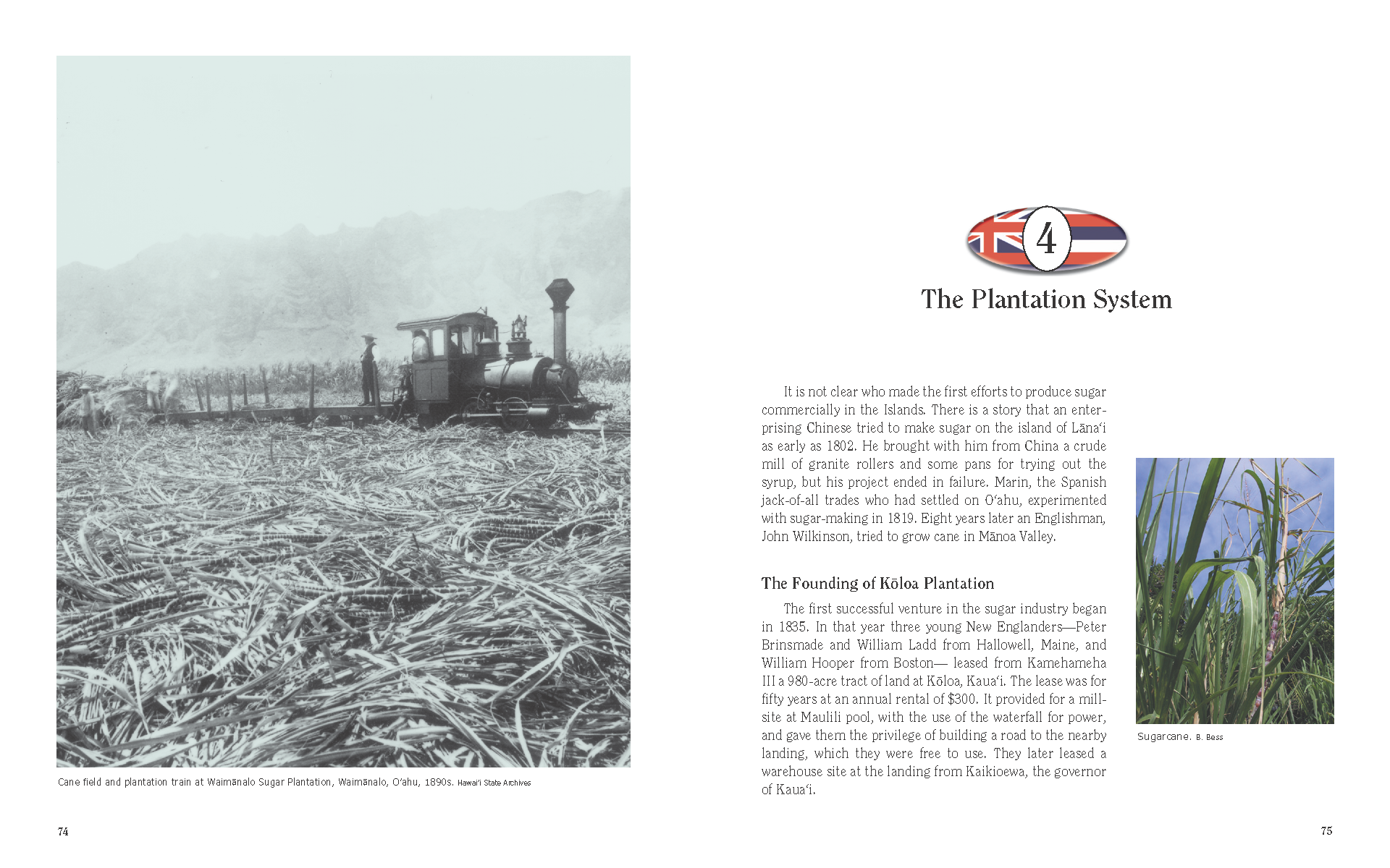 MHH eTextbook_Page_043.png