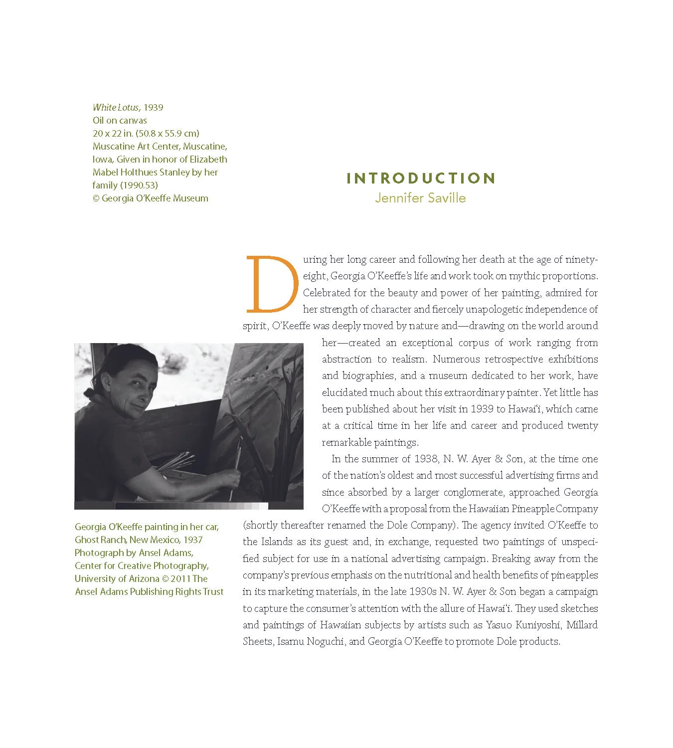 Georgia O'Keefe's Hawaii book_Page_013.jpg