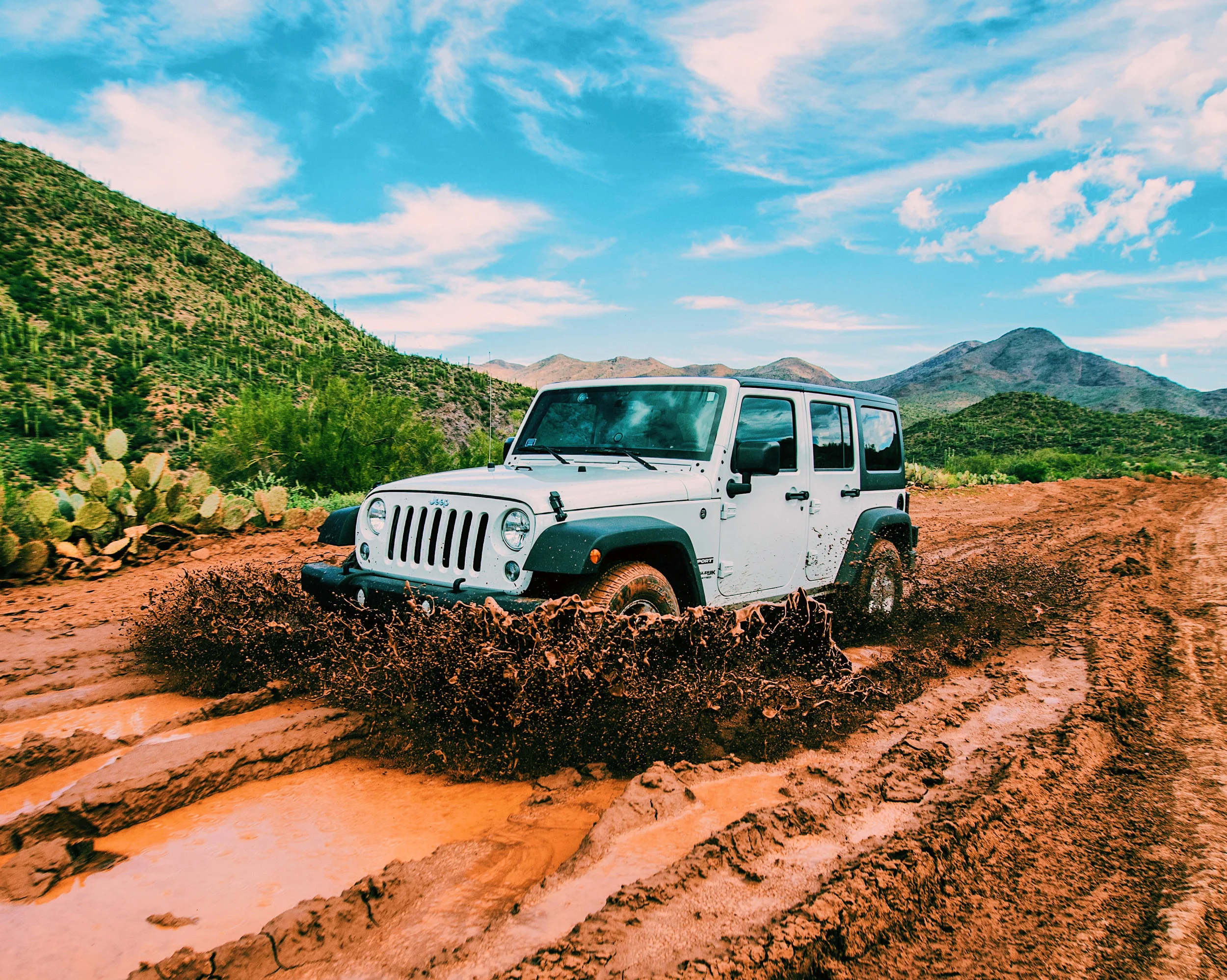 jeep .jpg