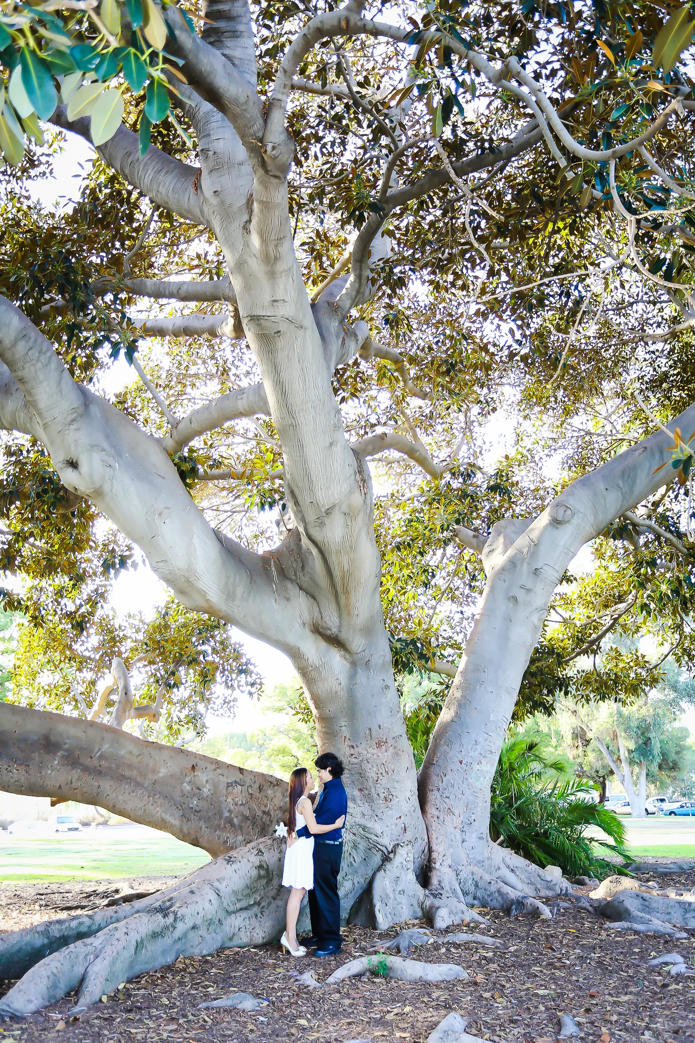 Daniel+ Ailyn / Golden Hills San Diego Engagement Session