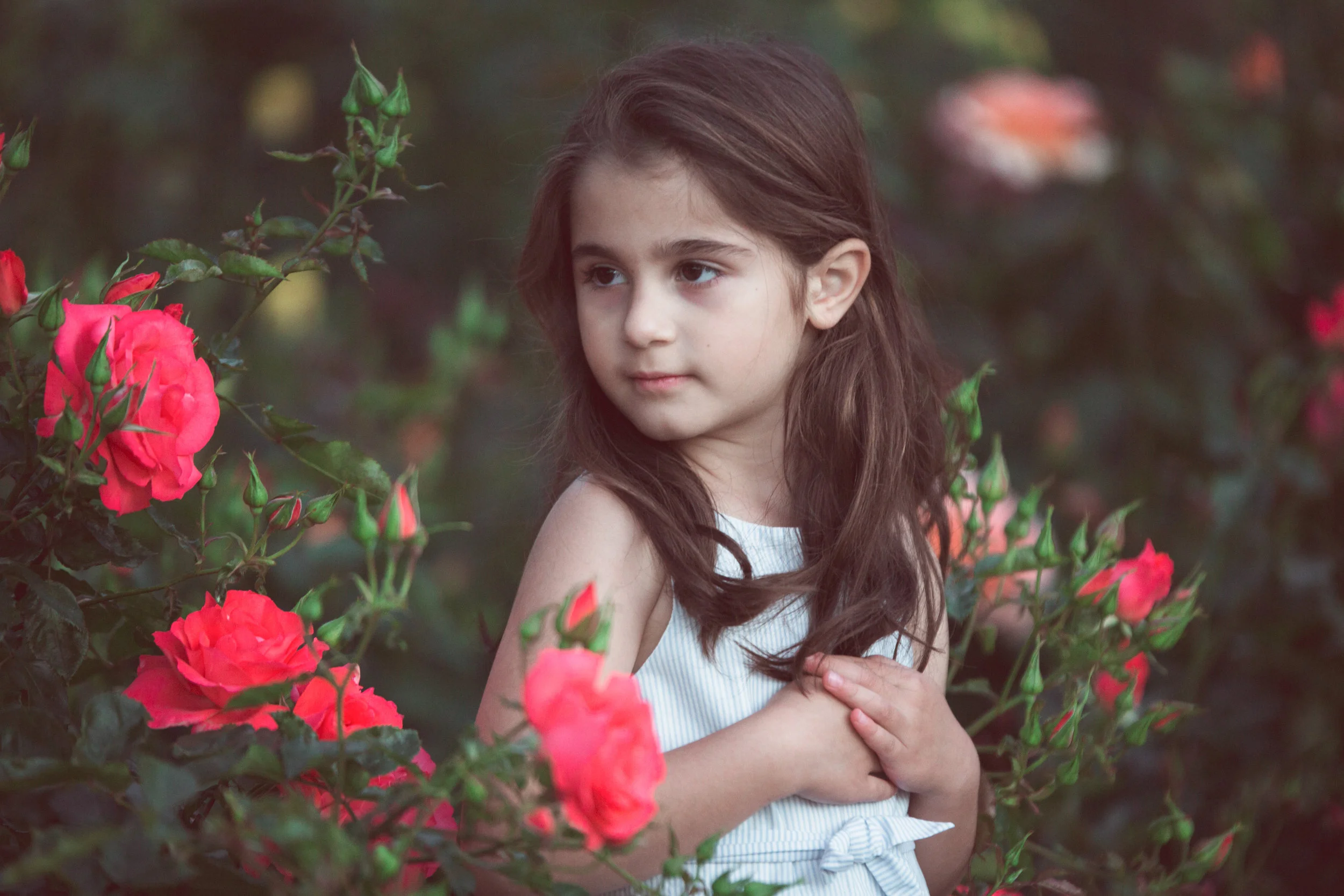 What does a beautiful portrait look like and How do you capture a great portrait?