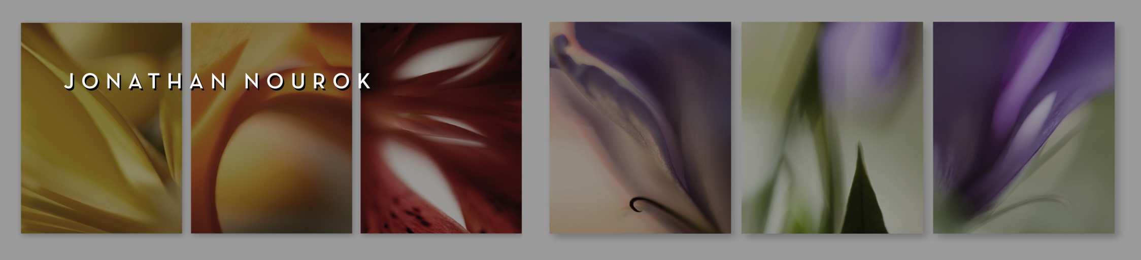 Graphic Encounter provides professional fine art+ custom framing consulting services to distinguished Interior Designers + Architects + Purchasing Agents + Hotel Developers, that specialize in the design and implementation of boutique hotels + casino hotels + premier destination resorts the world over.