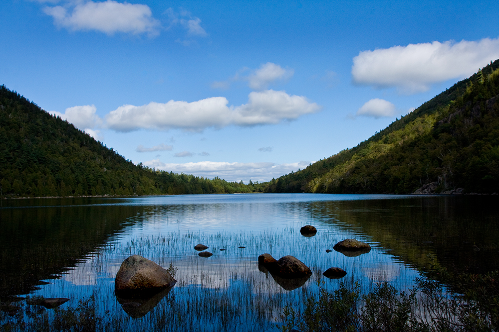 Bubble Pond