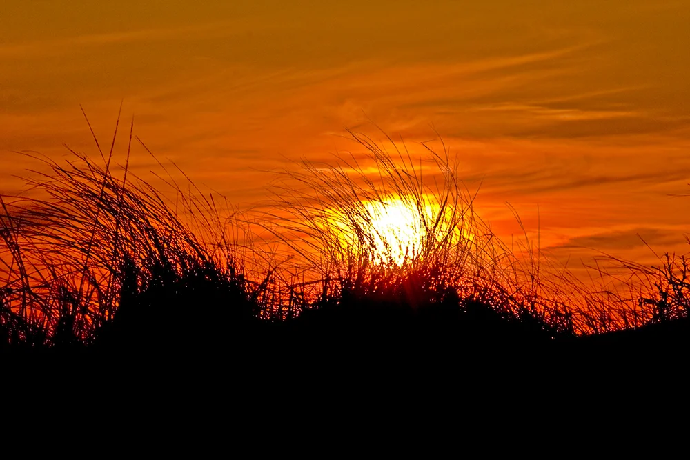 Provincetown Sunset