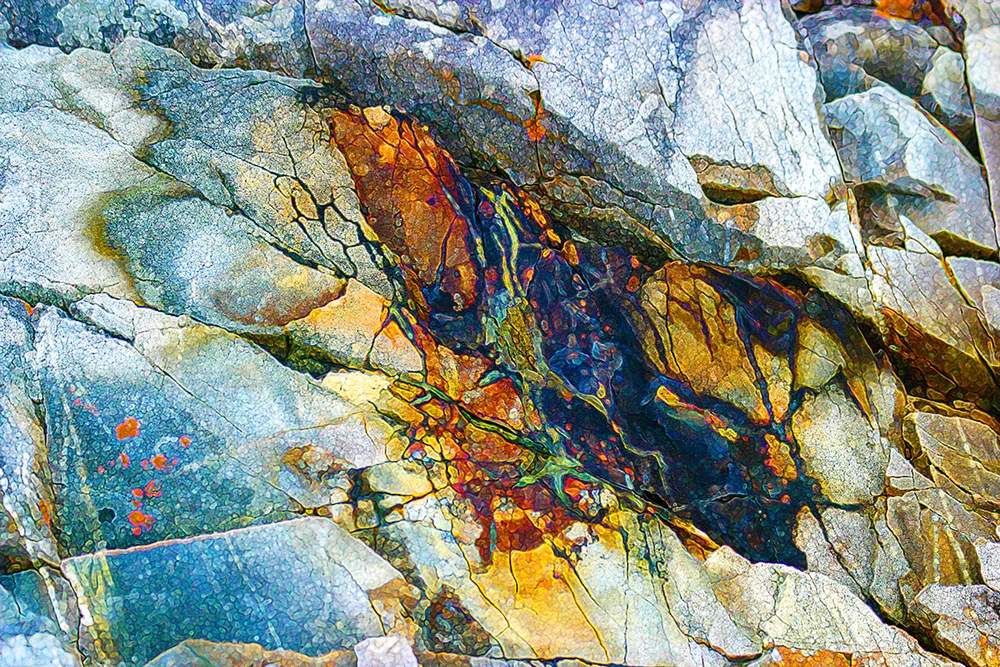 Fungi Stainoglyphs