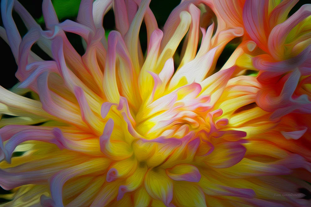 Tendrilled Blossoms
