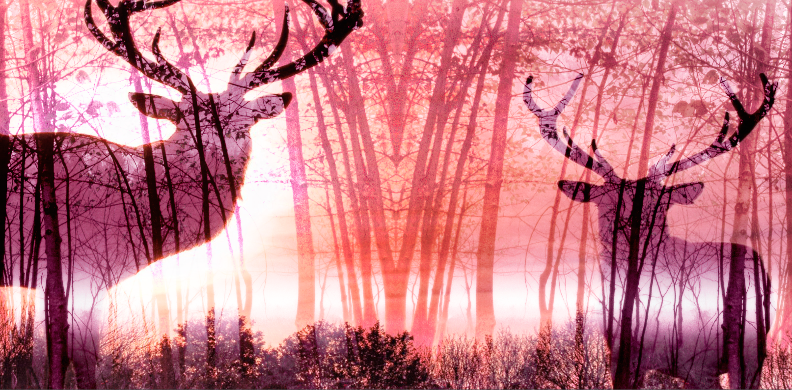 Screen+Shot+2014-07-10+at+9.55.14+AM.png