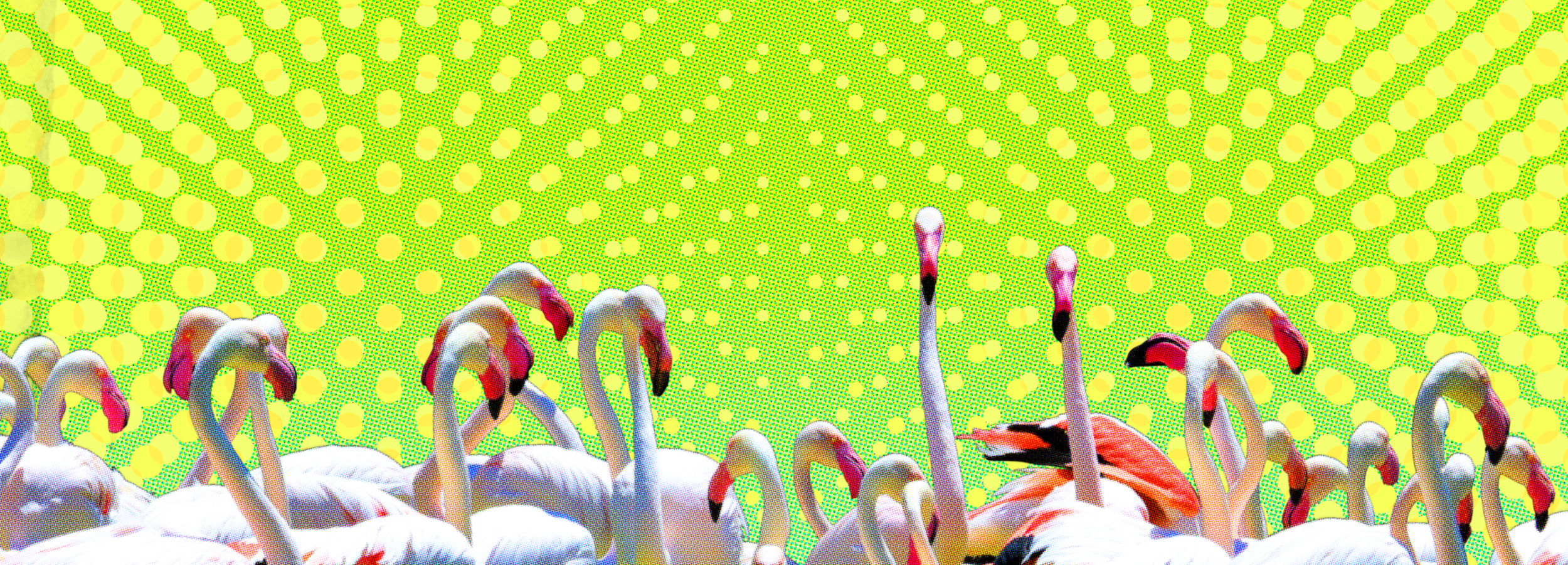 Screen Shot 2019-06-09 at 4.30.29 PM.png