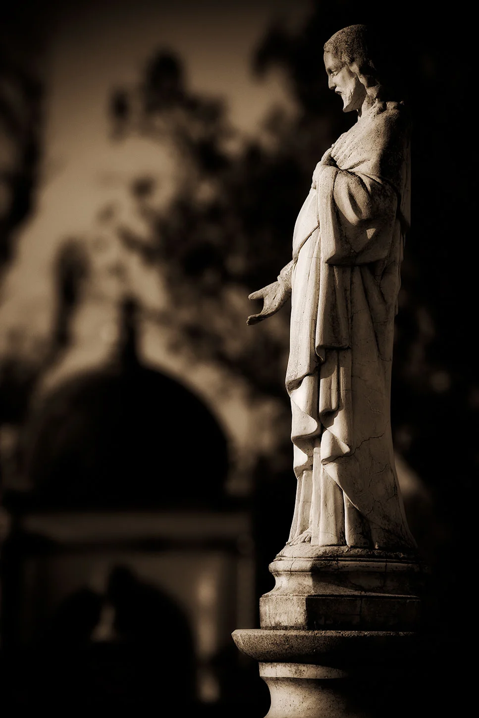 Alamos Cemetery, Sonora Mexico