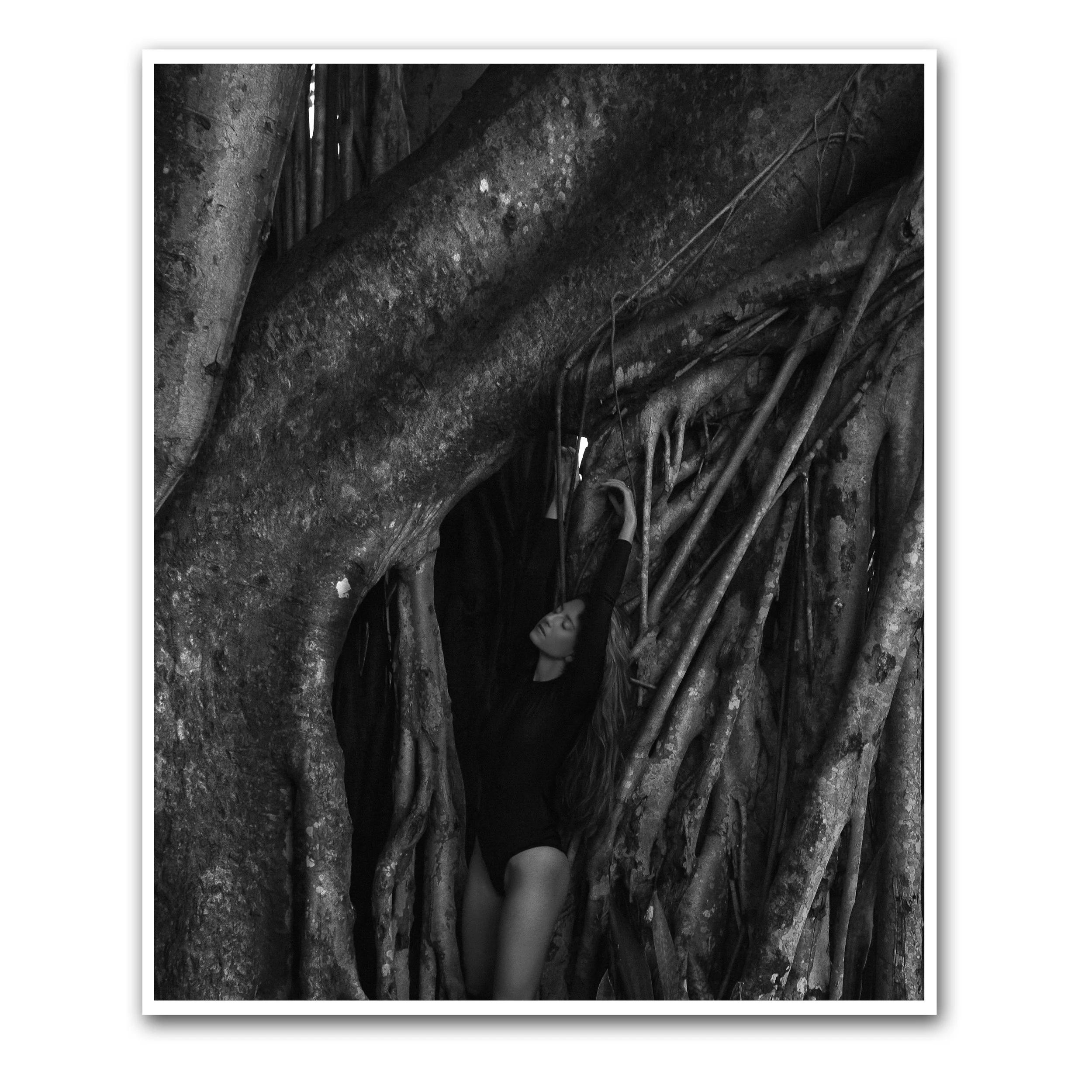 BENEATH THE BANYAN