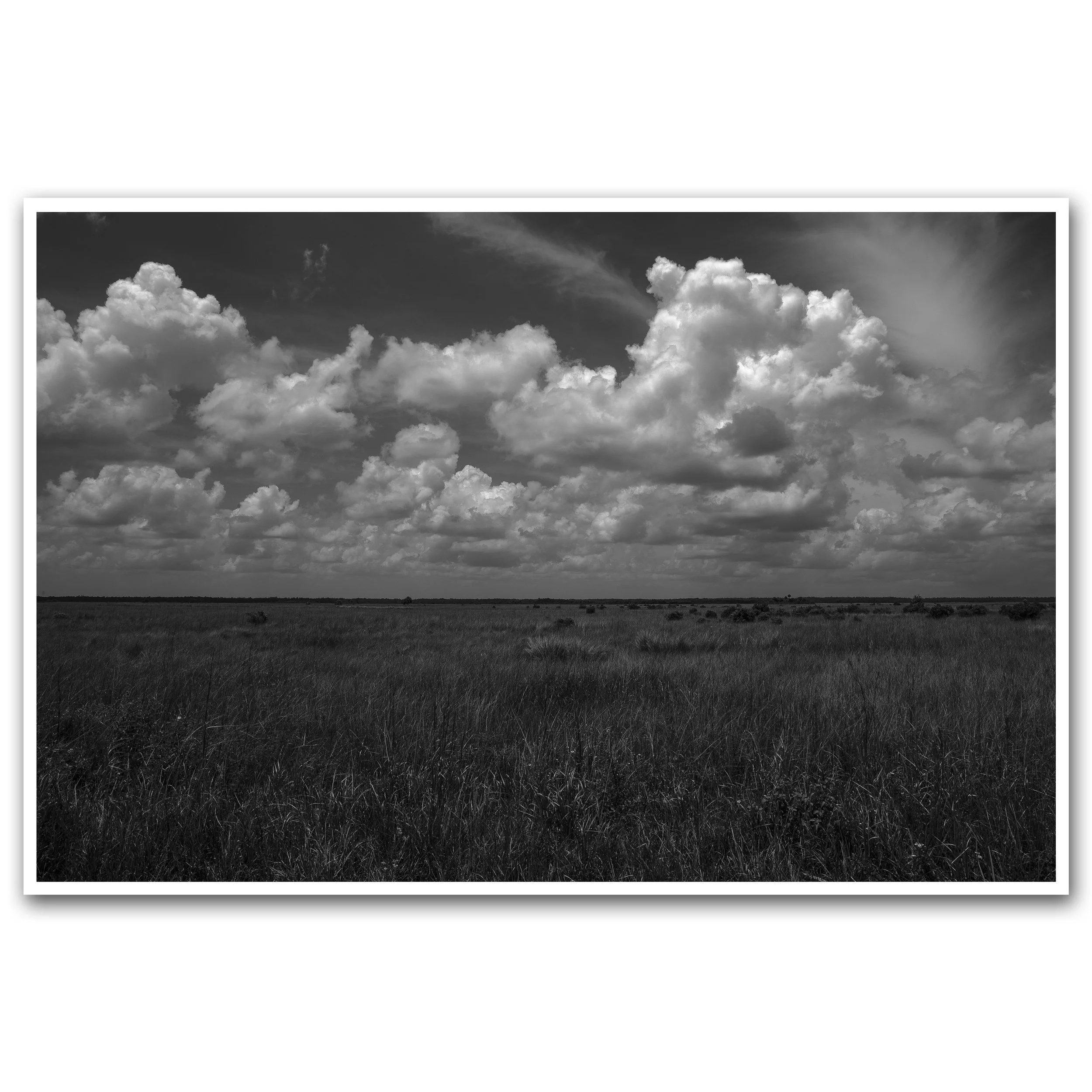 EVERGLADES HORIZON